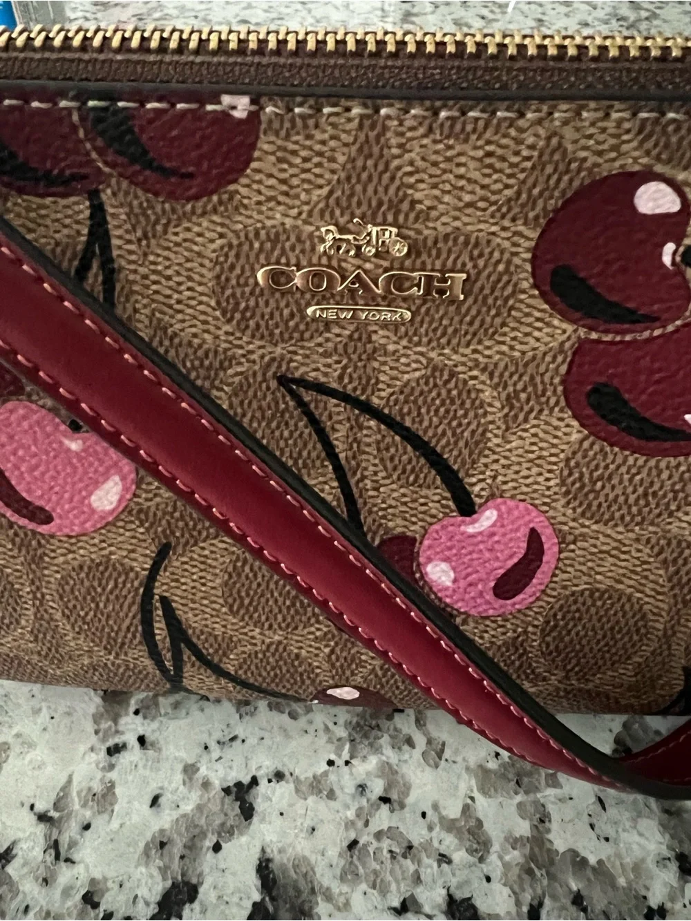 COACH Nolita 19 In Signature Canvas With Cherry Print Pre Owned